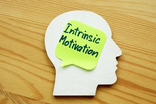 Intrinsic motivation