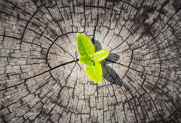 the power of purpose