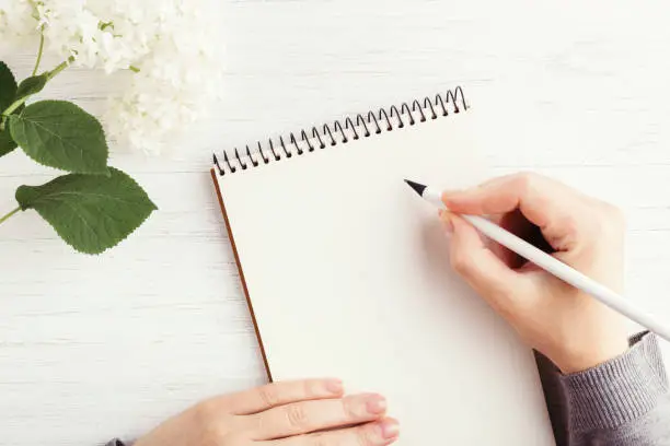 how to start a manifestation journal