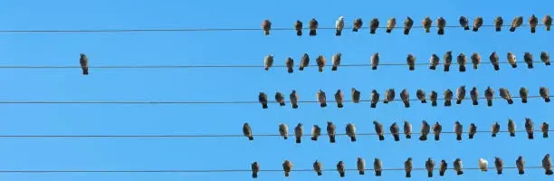 Power of Rebels in Leadership