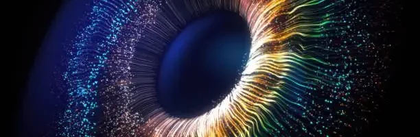 levels of visualization